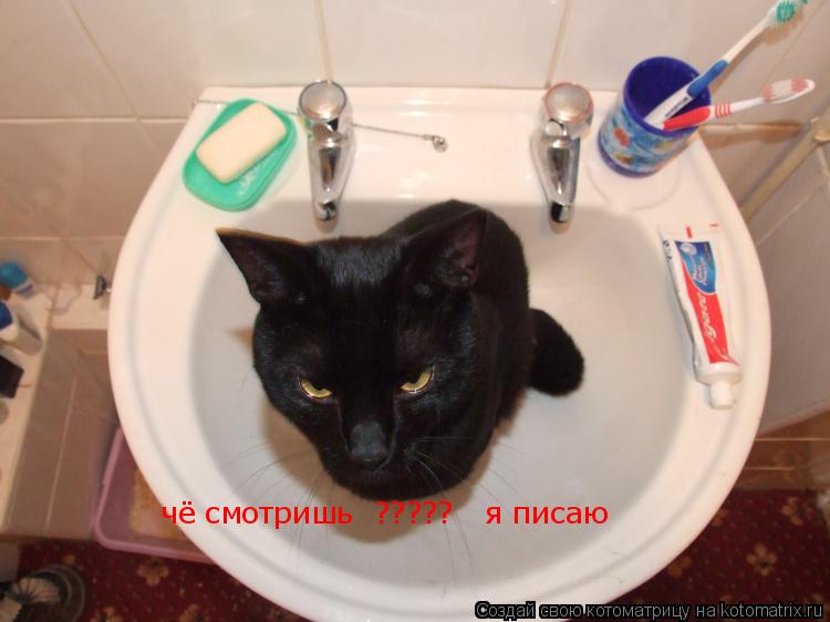Котоматрица: чё смотришь  ?????   я писаю