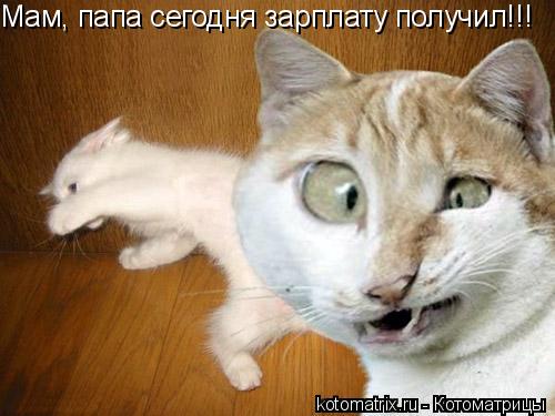 Мам, папа сегодня зарплату получил!!!... Котоматрица: Мам, папа сегодня зарплату получил!!!