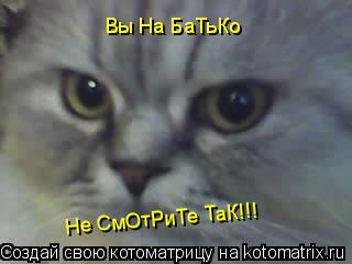 Вы На БаТьКо Не СмОтРиТе ТаК!!!... Котоматрица: Вы На БаТьКо Не СмОтРиТе ТаК!!!