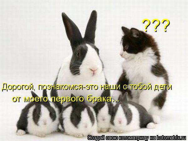 Котоматрица: от моего первого брака... Дорогой, познакомся-это наши с тобой дети ???