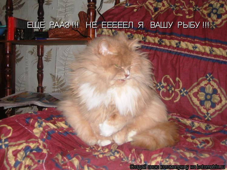 ЕЩЕ РААЗ !!! НЕ ЕЕЕЕЕЛ Я ВАШУ РЫБУ !!!... Котоматрица: ЕЩЕ РААЗ !!! НЕ ЕЕЕЕЕЛ Я ВАШУ РЫБУ !!!