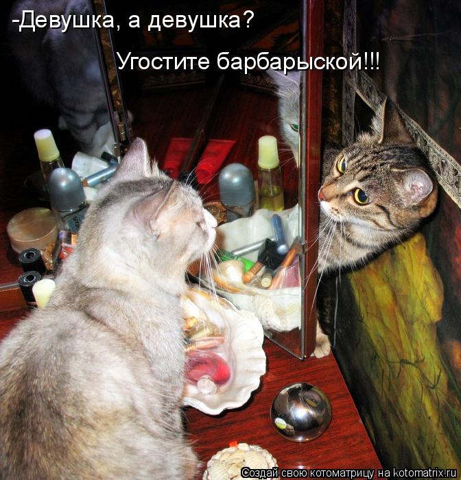-Девушка, а девушка? Угостите барбарыской!!!... Котоматрица: -Девушка, а девушка? Угостите барбарыской!!!