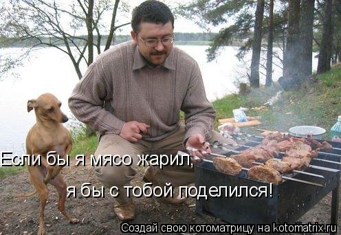 Если бы я мясо жарил, я бы с тобой поделился!... Котоматрица: Если бы я мясо жарил, я бы с тобой поделился!