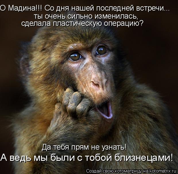 Котоматрица: О Мадина!!! Со дня нашей последней встречи... ты очень сильно изменилась,  сделала пластическую операцию?  Да тебя прям не узнать! А ведь мы был