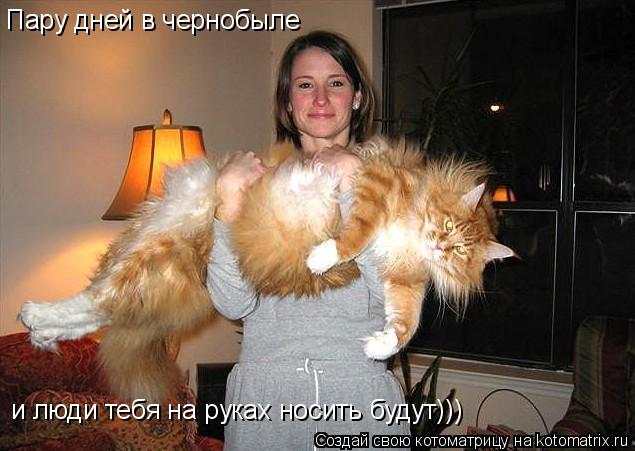 Котоматрица: Пару дней в чернобыле и люди тебя на руках носить будут)))