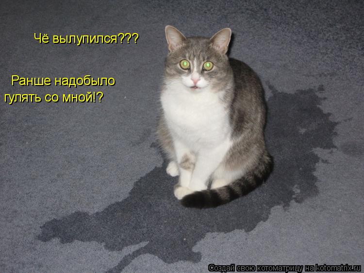 Чё вылупился??? Ранше надобыло гулять со мной!?... Котоматрица: Чё вылупился??? Ранше надобыло гулять со мной!?