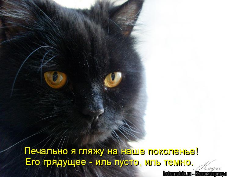 Печально я гляжу на наше поколенье! Его грядущее - иль пусто, иль темно.... Котоматрица: Печально я гляжу на наше поколенье! Его грядущее - иль пусто, иль темно.