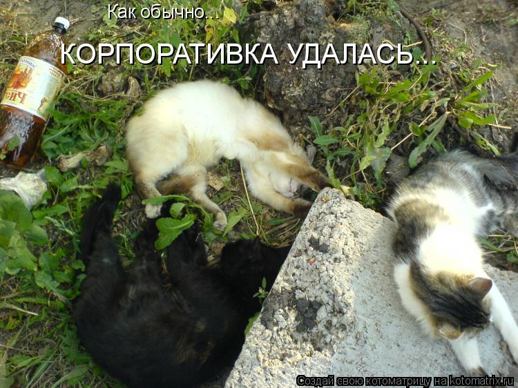 Котоматрица: Как обычно... КОРПОРАТИВКА УДАЛАСЬ...