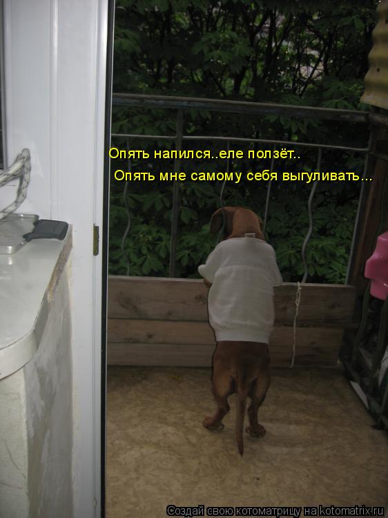 Опять мне самому себя выгуливать... Опять напился..еле ползёт..... Котоматрица: Опять мне самому себя выгуливать... Опять напился..еле ползёт..