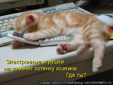 Электронные игрушки не заменят котенку хозяина Где ты?... Котоматрица: Электронные игрушки не заменят котенку хозяина Где ты?