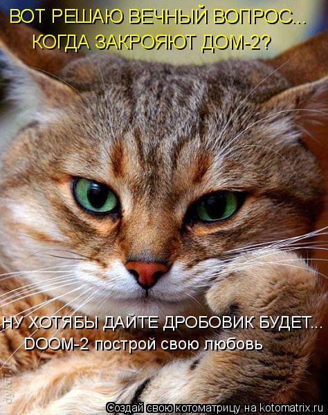 Котоматрица: КОГДА ЗАКРОЯЮТ ДОМ-2? НУ ХОТЯБЫ ДАЙТЕ ДРОБОВИК БУДЕТ... DOOM-2 построй свою любовь ВОТ РЕШАЮ ВЕЧНЫЙ ВОПРОС... ВОТ РЕШАЮ ВЕЧНЫЙ ВОПРОС...