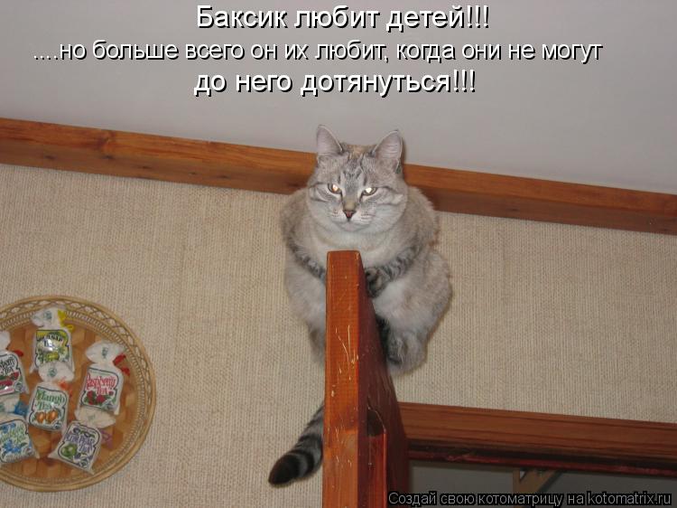 ....но больше всего он их любит, когда они не могут Баксик любит детей!!! до него дотянуться!!!... Котоматрица: ....но больше всего он их любит, когда они не могут Баксик любит детей!!! до него дотянуться!!!