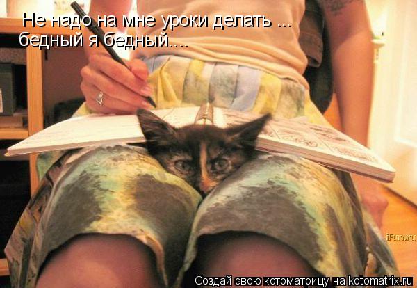 Котоматрица: Не надо на мне уроки делать ..... бедный я бедный Не надо на мне уроки делать ... бедный я бедный....