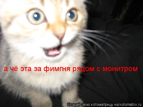 Котоматрица: а чё эта за фимгня рядом с монитром
