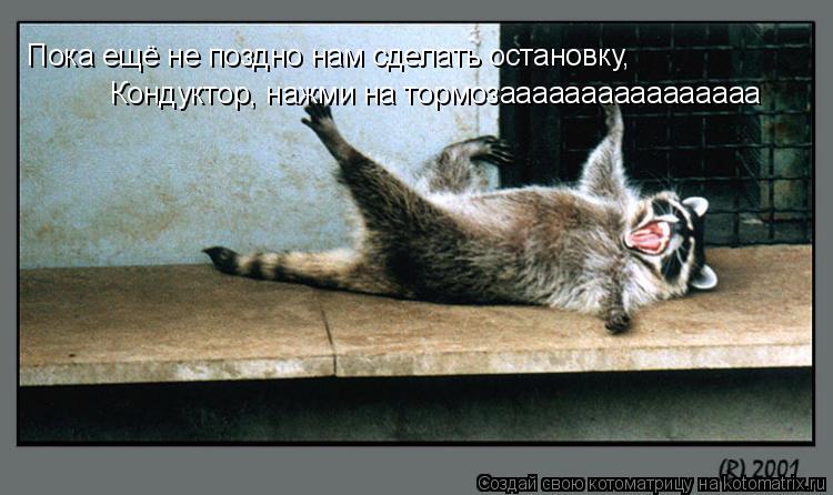 Пока ещё не поздно нам сделать остановку, Кондуктор, нажми на тормозаааааааааааааааа... Котоматрица: Пока ещё не поздно нам сделать остановку, Кондуктор, нажми на тормозаааааааааааааааа
