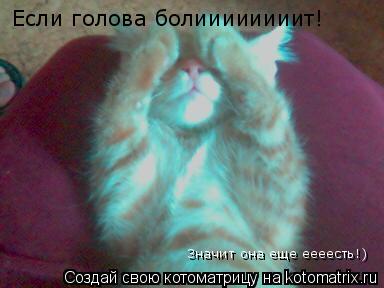 Если голова болиииииииит!Значит она еще еееесть!) Значит она еще еееесть!) Значит она еще еееесть!) Е... Котоматрица: Если голова болиииииииит!Значит она еще еееесть!) Значит она еще еееесть!) Значит она еще еееесть!) Если голова болиииииииит!