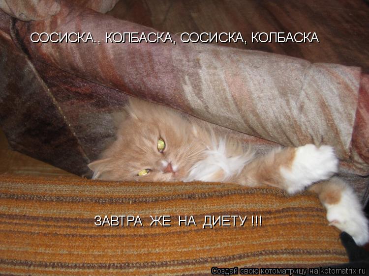 СОСИСКА., КОЛБАСКА, СОСИСКА, КОЛБАСКА ЗАВТРА ЖЕ НА ДИЕТУ !!!... Котоматрица: СОСИСКА., КОЛБАСКА, СОСИСКА, КОЛБАСКА ЗАВТРА ЖЕ НА ДИЕТУ !!!