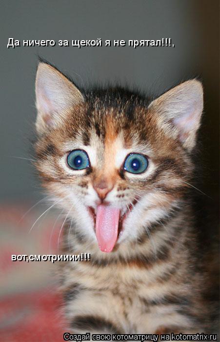 Да ничего за щекой я не прятал!!!, вот,смотрииии!!!... Котоматрица: Да ничего за щекой я не прятал!!!, вот,смотрииии!!!