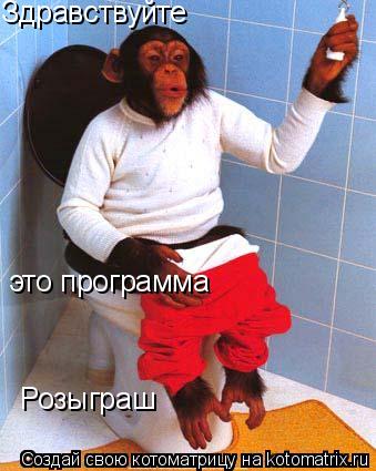 Здравствуйте это программа Розыграш... Котоматрица: Здравствуйте это программа Розыграш