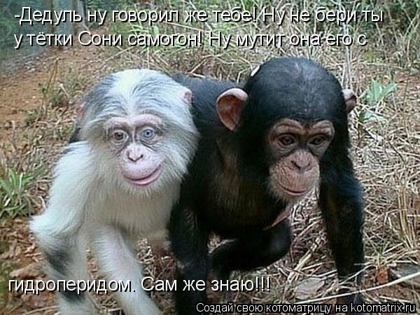 -Дедуль ну говорил же тебе! Ну не бери ты у тётки Сони самогон! Ну мутит она его с гидроперидом. Сам... Котоматрица: -Дедуль ну говорил же тебе! Ну не бери ты у тётки Сони самогон! Ну мутит она его с гидроперидом. Сам же знаю!!!