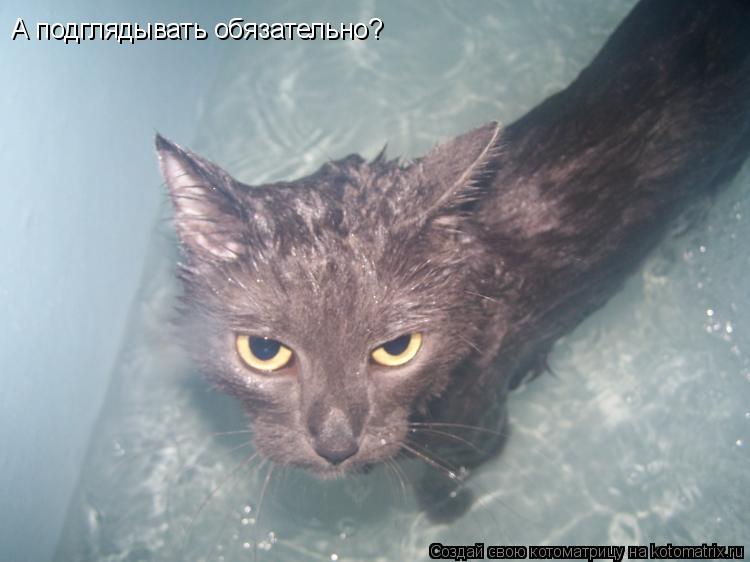 А подглядывать обязательно?... Котоматрица: А подглядывать обязательно?