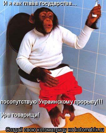 И я как глава государства... посопутствую Украинскому прорыву!!! Ура товарищи!... Котоматрица: И я как глава государства... посопутствую Украинскому прорыву!!! Ура товарищи!
