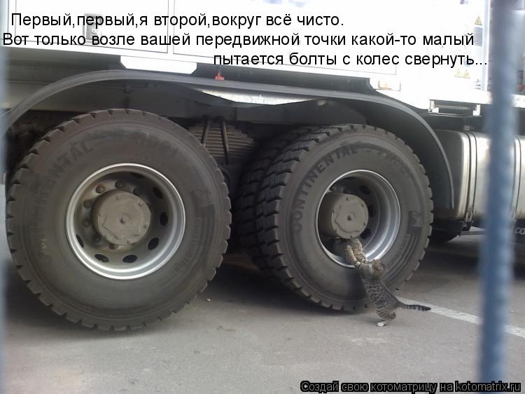 Первый,первый,я второй,вокруг всё чисто. Вот только возле вашей передвижной точки какой-то малый пыта... Котоматрица: Первый,первый,я второй,вокруг всё чисто. Вот только возле вашей передвижной точки какой-то малый пытается болты с колес свернуть...