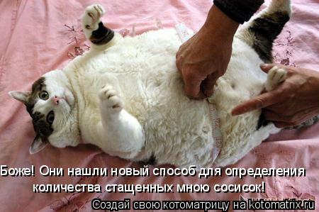 Боже! Они нашли новый способ для определения количества стащенных мною сосисок!... Котоматрица: Боже! Они нашли новый способ для определения количества стащенных мною сосисок!