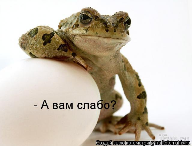 - А вам слабо?... Котоматрица: - А вам слабо?