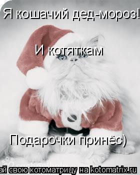 Я кошачий дед-мороз! И котяткам Подарочки принёс)... Котоматрица: Я кошачий дед-мороз! И котяткам Подарочки принёс)