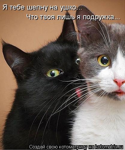 Я тебе шепну на ушко... Что твоя лишь я подружка...... Котоматрица: Я тебе шепну на ушко... Что твоя лишь я подружка...