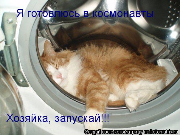 Котоматрица: Я готовлюсь в космонавты  Хозяйка, запускай!!!