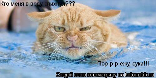 Кто меня в воду спихнул??? Пор-р-р-ежу, суки!!!... Котоматрица: Кто меня в воду спихнул??? Пор-р-р-ежу, суки!!!