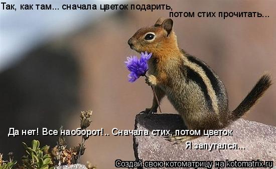 Так, как там... сначала цветок подарить, потом стих прочитать... Да нет! Все наоборот!.. Сначала стих... Котоматрица: Так, как там... сначала цветок подарить, потом стих прочитать... Да нет! Все наоборот!.. Сначала стих, потом цветок Я запутался...
