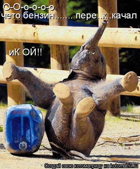 Котоматрица: О-О-о-о-о-о чето бензин....... пере..к..качал иК ОЙ!! АИ-92