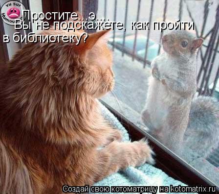 Котоматрица: Простите...э.... Вы не подскажете, как пройти  в библиотеку?