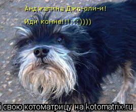 Котоматрица: Анджэлина Джо-оли-и! Иди комне!!!:::))))