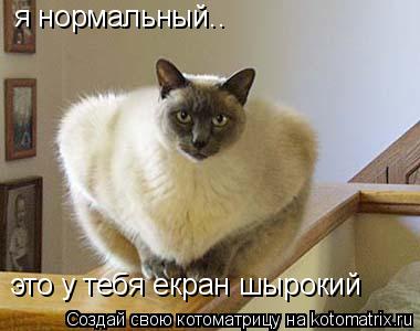 я нормальный.. это у тебя екран шырокий... Котоматрица: я нормальный.. это у тебя екран шырокий