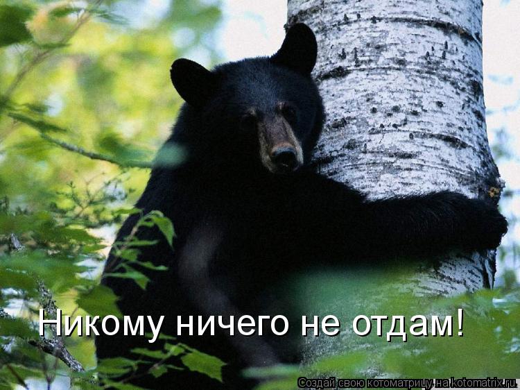 Никому ничего не отдам!... Котоматрица: Никому ничего не отдам!