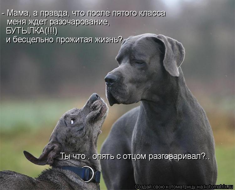 Ты что — опять с отцом разговаривал?.. - Мама, а правда, что после пятого класса меня ждет разочарова... Котоматрица: Ты что — опять с отцом разговаривал?.. - Мама, а правда, что после пятого класса меня ждет разочарование, БУТЫЛКА(!!!) и бесцельно прожитая жизн