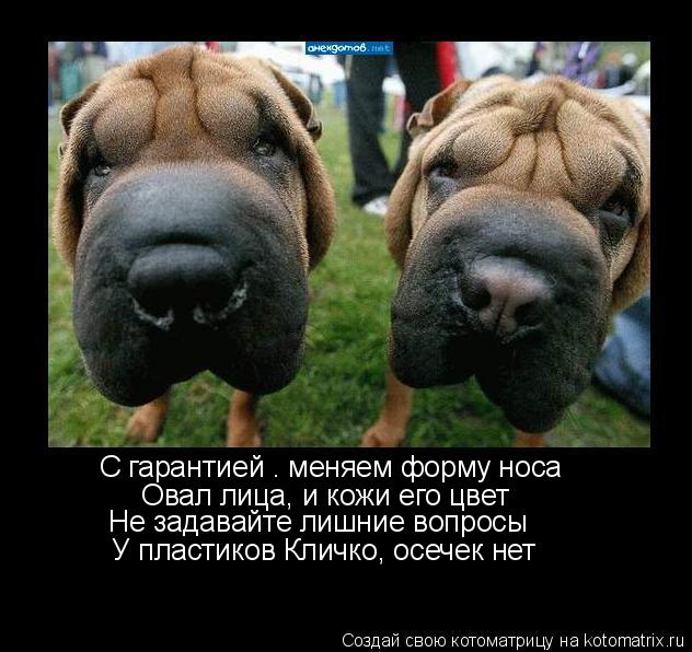С гарантией – меняем форму носа Овал лица, и кожи его цвет Не задавайте лишние вопросы У пластик... Котоматрица: С гарантией – меняем форму носа Овал лица, и кожи его цвет Не задавайте лишние вопросы У пластиков Кличко, осечек нет
