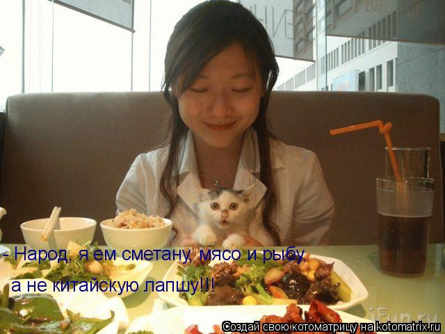 Котоматрица: - Народ, я ем сметану, мясо и рыбу,  а не китайскую лапшу!!!