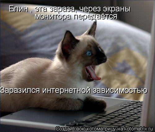 Котоматрица: Блин , эта зараза, через экраны  монитора передаётся  Заразился интернетной зависимостью