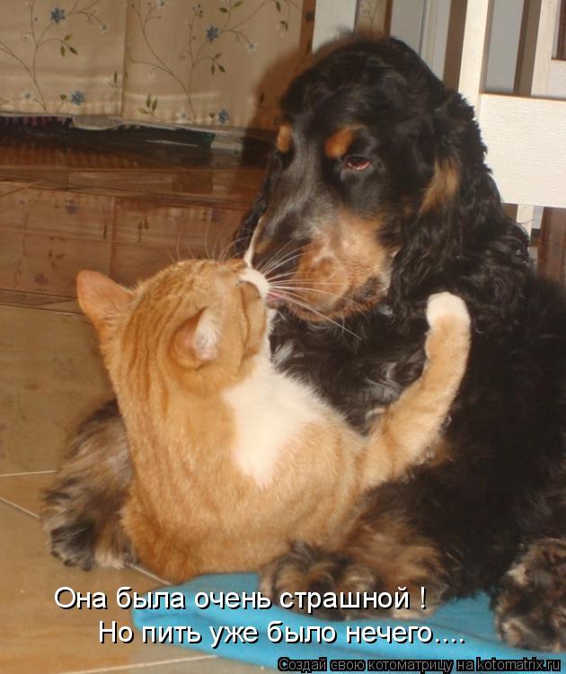 Котоматрица: Она была очень страшной ! Но пить уже было нечего....