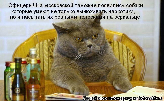 Офицеры! На московской таможне появились собаки, которые умеют не только вынюхивать наркотики, но и н... Котоматрица: Офицеры! На московской таможне появились собаки, которые умеют не только вынюхивать наркотики, но и насыпать их ровными полосками на зерка