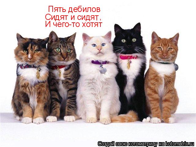 Котоматрица: Пять дебилов Сидят и сидят , , И чего-то хотят