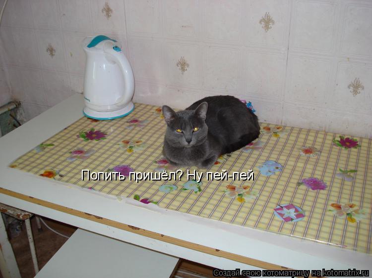 Попить пришёл? Ну пей-пей... Котоматрица: Попить пришёл? Ну пей-пей