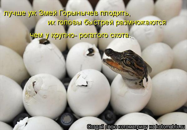 Котоматрица: лучше уж Змей Горынычев плодить,  их головы быстрей размножаются чем у крупно- рогатого скота.