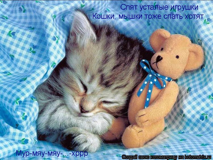Котоматрица: Спят усталые игрушки Кошки, мышки тоже спать хотят Мур-мяу-мяу-...-хррр