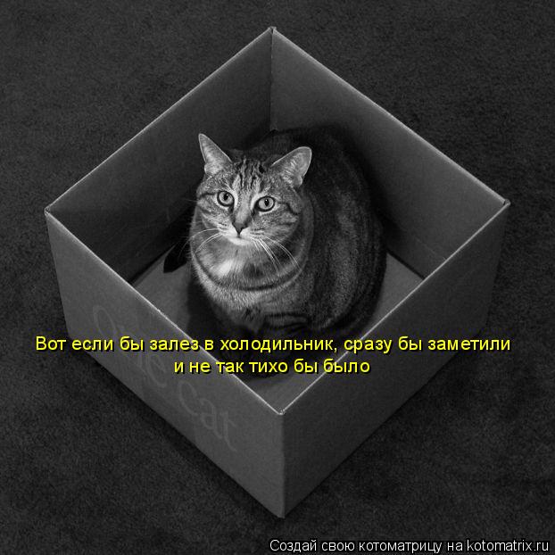 Котоматрица: Вот если бы залез в холодильник, сразу бы заметили и не так тихо бы было